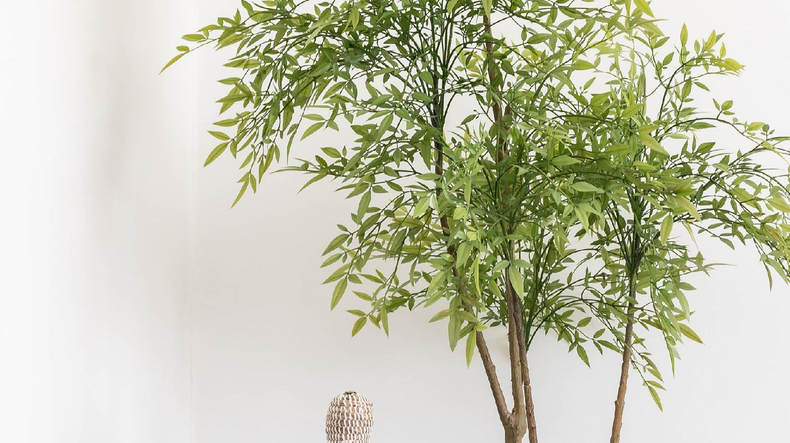 How to care for an artificial plant