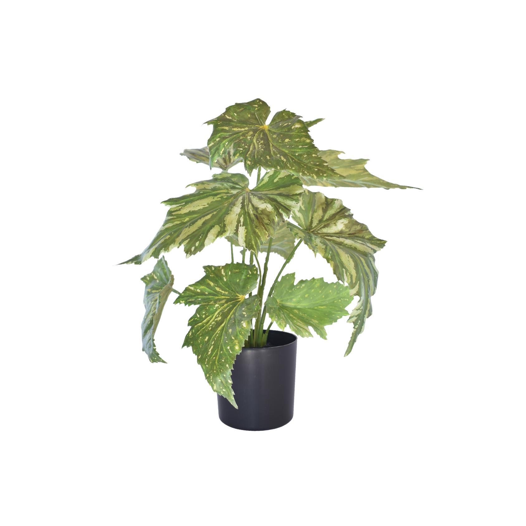 Artificial begonia plant with variegated green leaves in a black plastic pot