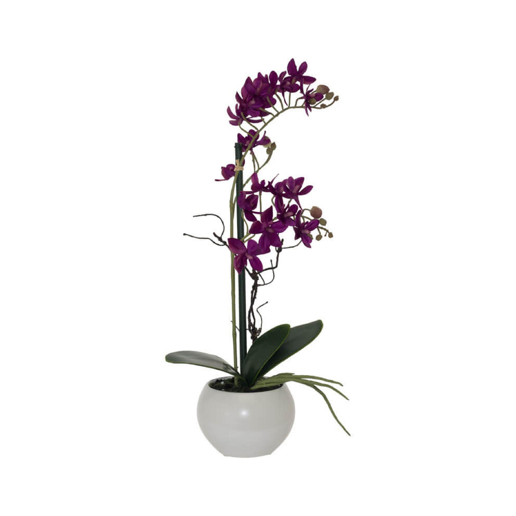 Artificial burgundy orchid in white pot
