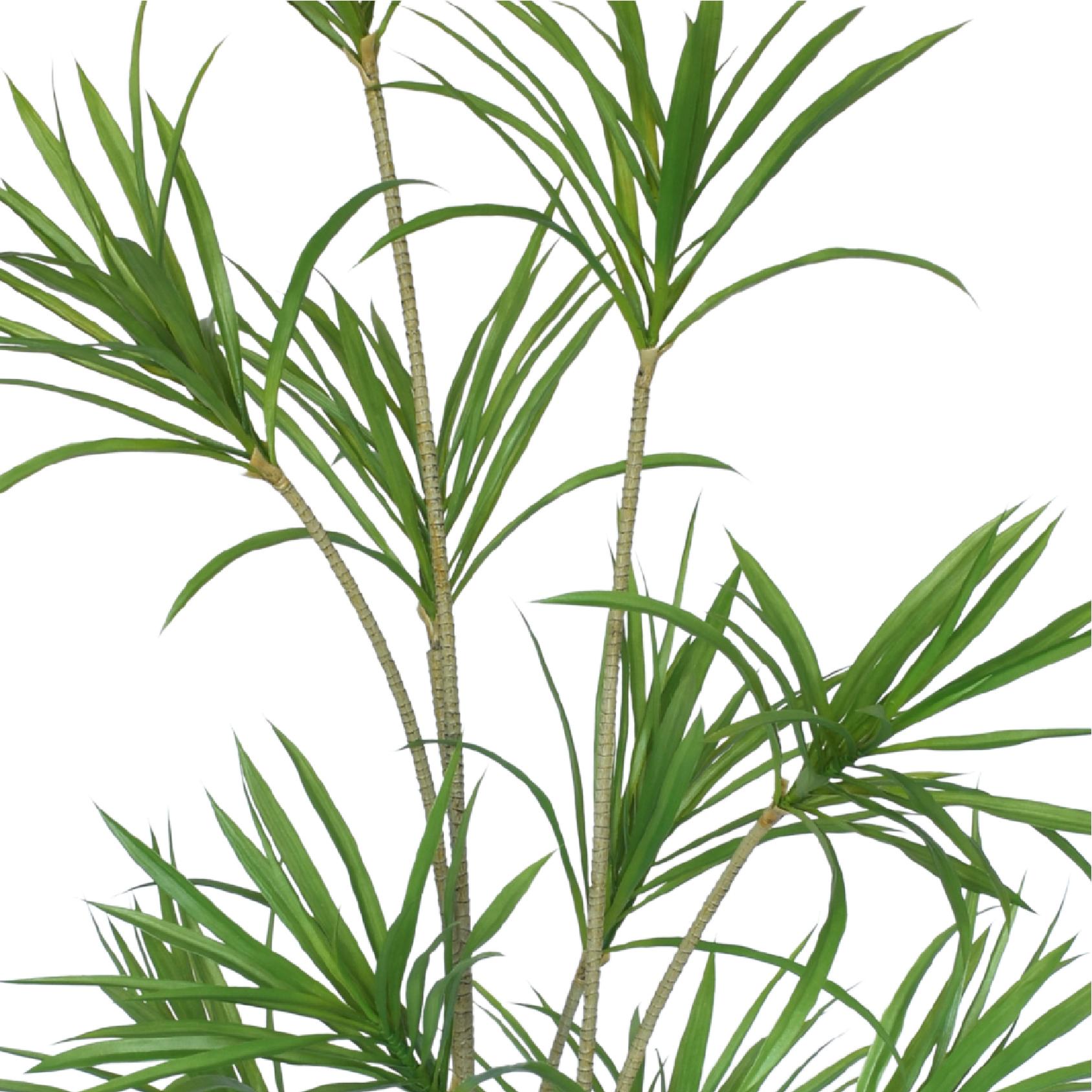 Close-up of artificial dragon plant leaves and stems
