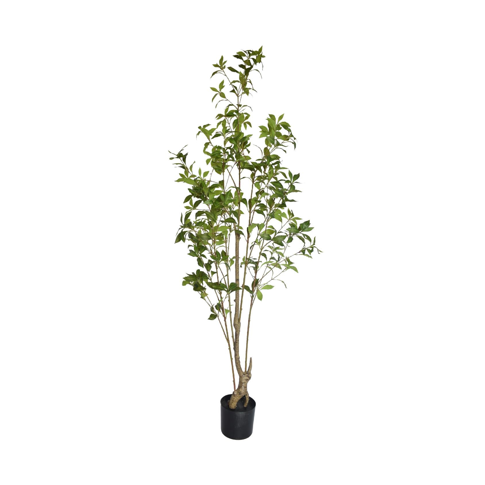 Artificial evergreen leaf tree with a black base