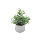 Artificial evergreen mini palm in white pot
