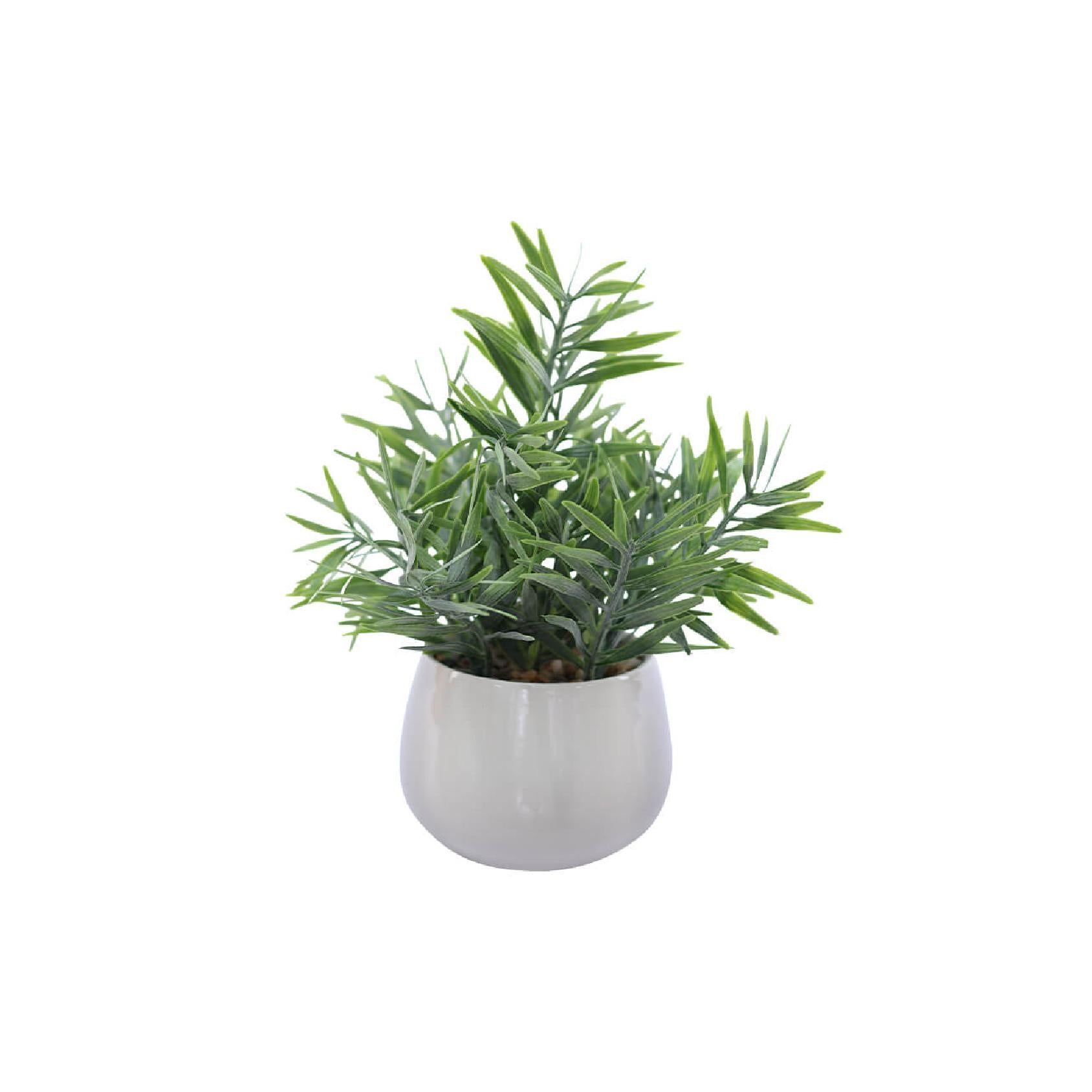Artificial evergreen mini palm in white pot