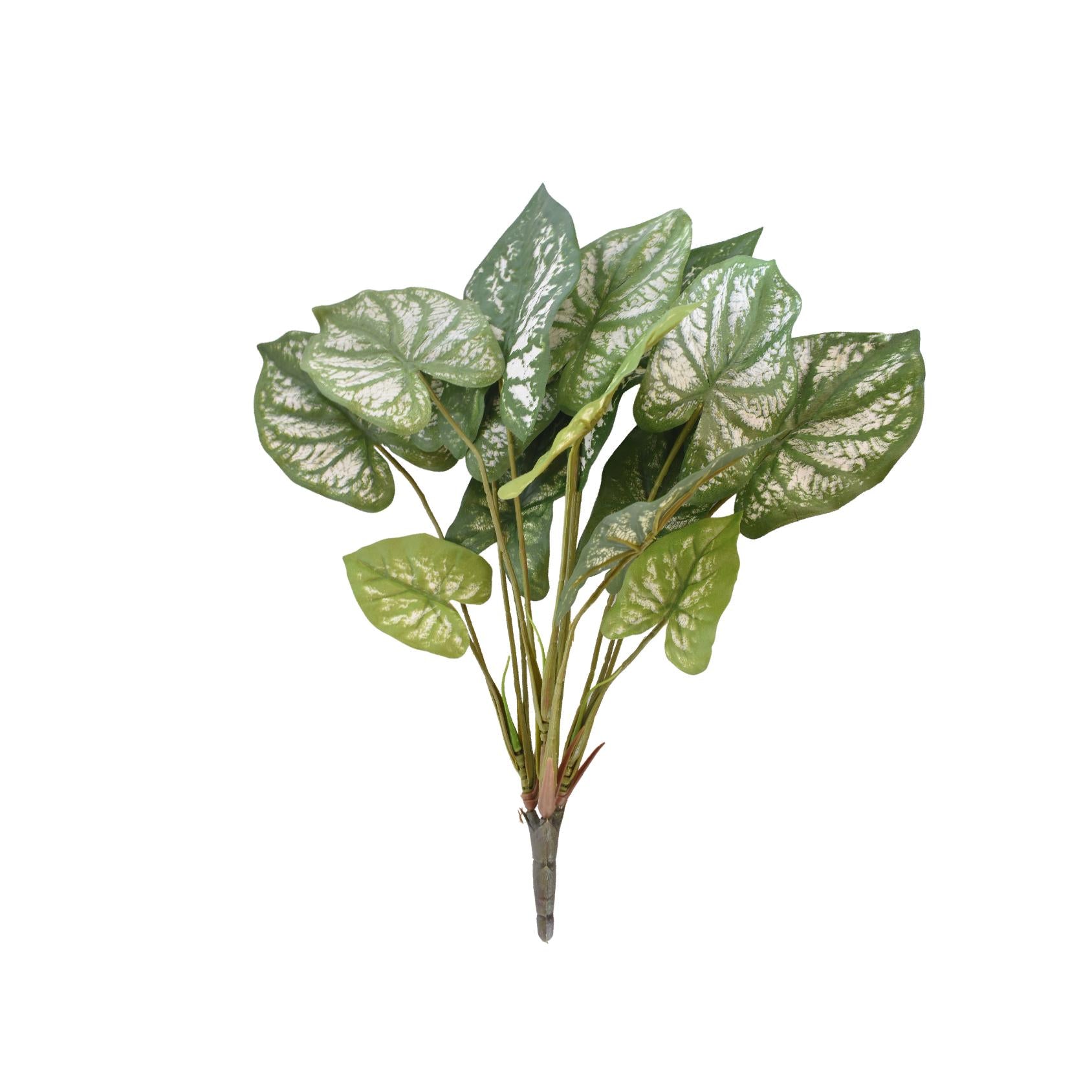 Artificial green caladium stem with heart-shaped leaves and silver variegation