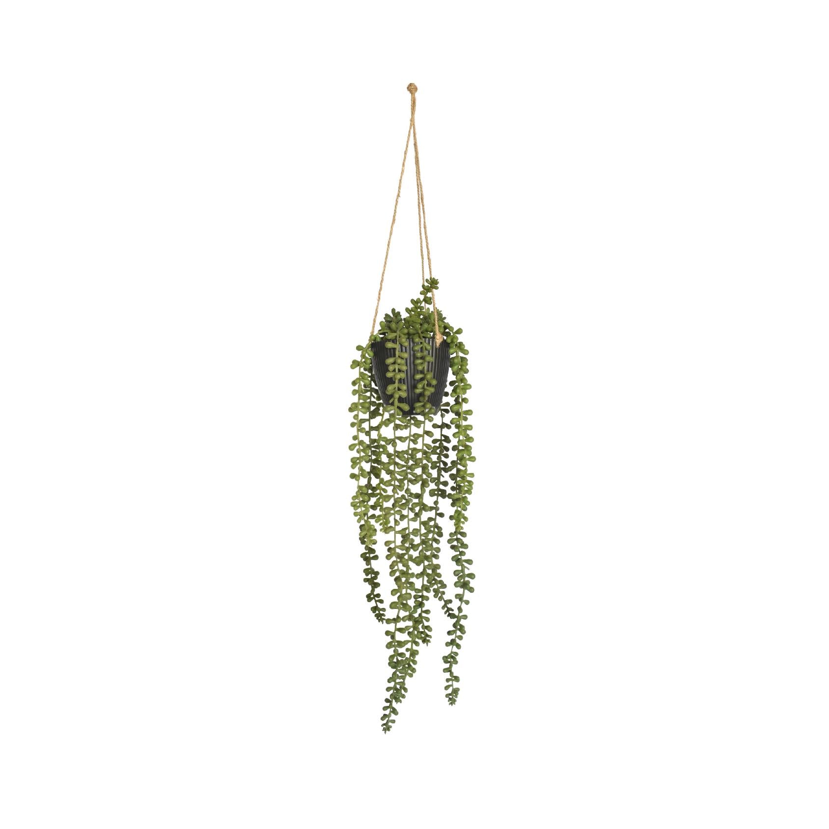 Artificial hanging string of pearls plant