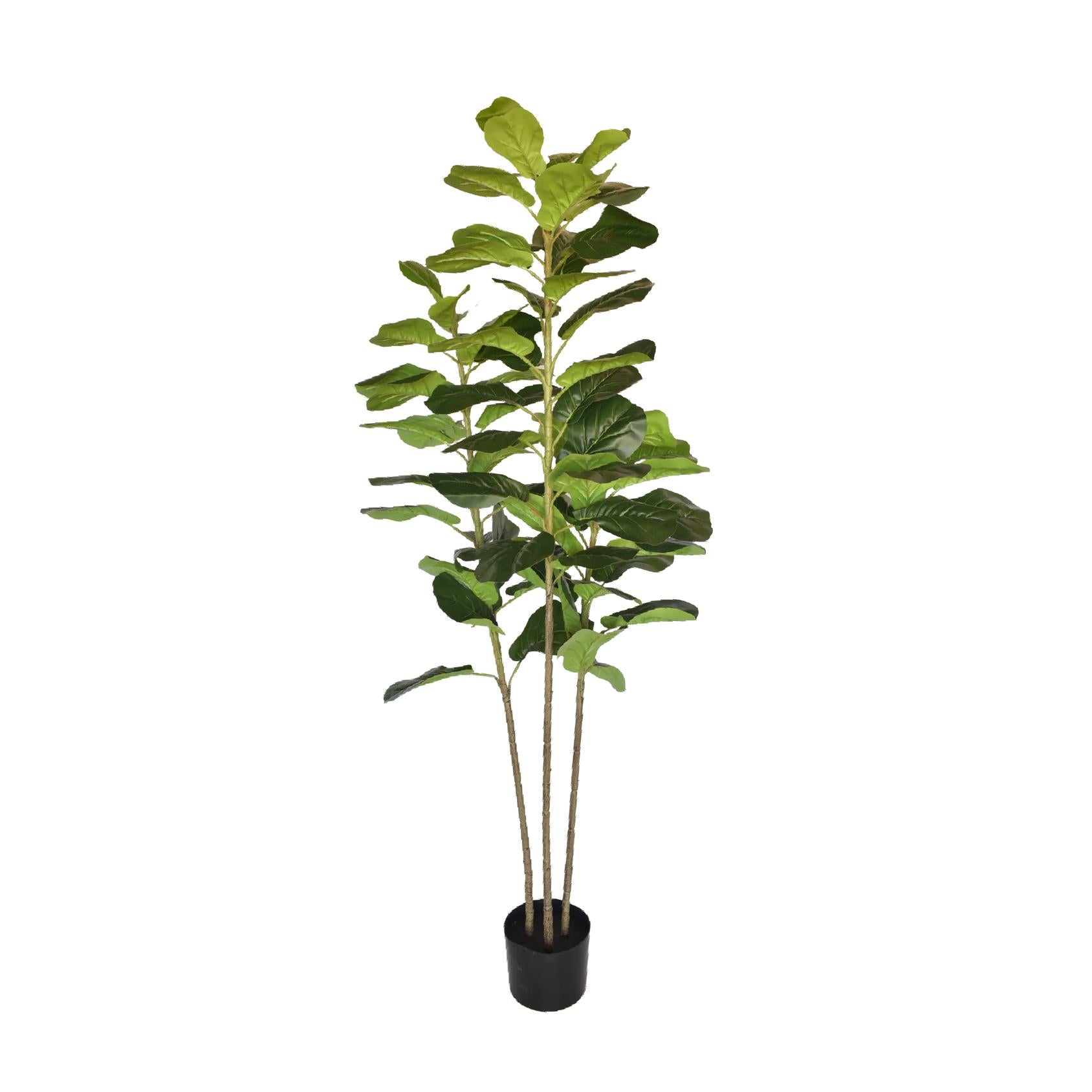 Artificial fiddle leaf fig plant in a black plastic pot