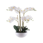 Artificial multi-stemmed orchid in white ceramic pot