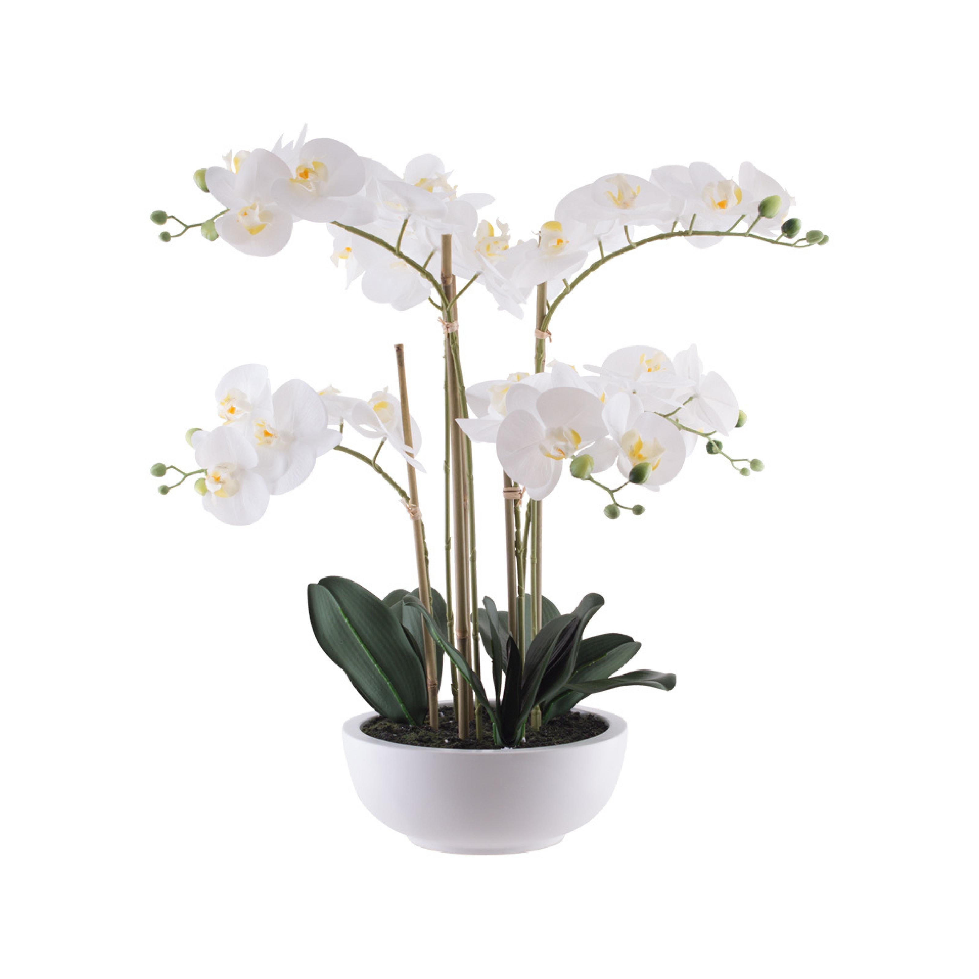 Artificial multi-stemmed orchid in white ceramic pot