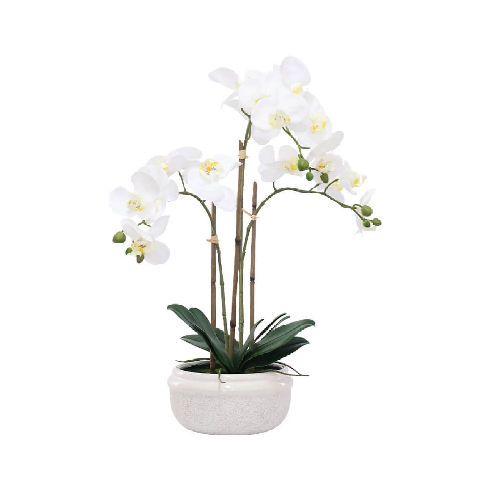 Artificial potted white real touch orchid