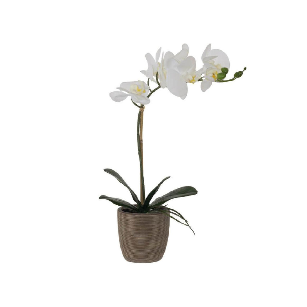 Artificial white real touch orchid in brown ceramic pot