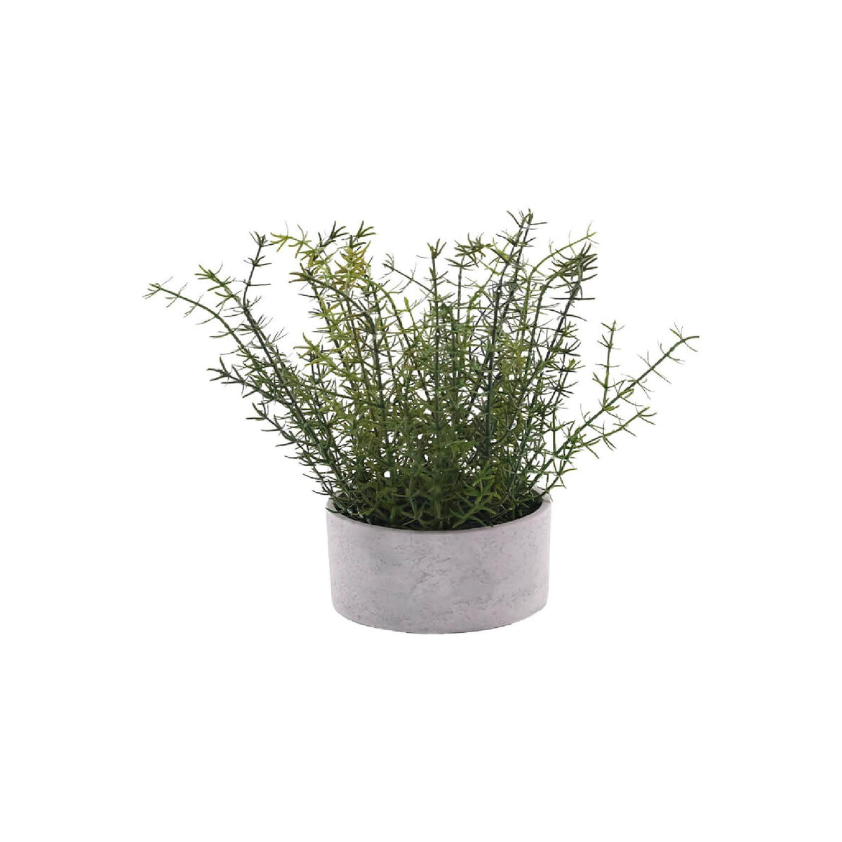 An artificial rosemary plant in a round, grey cement pot