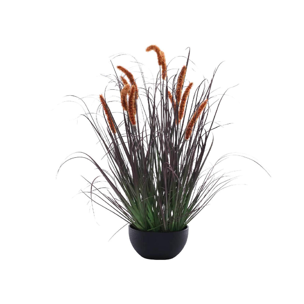 An artificial foxtail grass plant with rust-coloured plumes, green foliage & a black pot