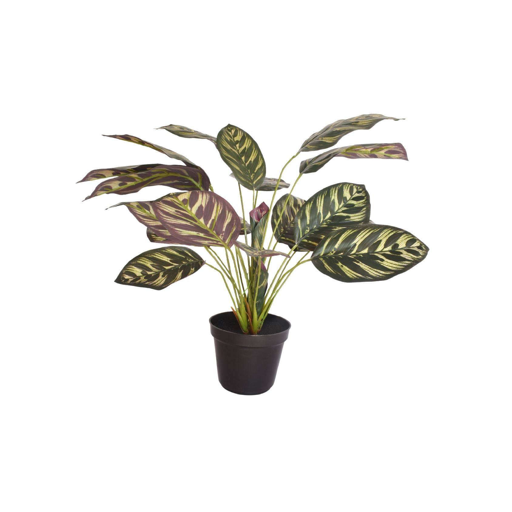 Artificial striped calathea plant with variegated green and purple leaves in a plastic black pot