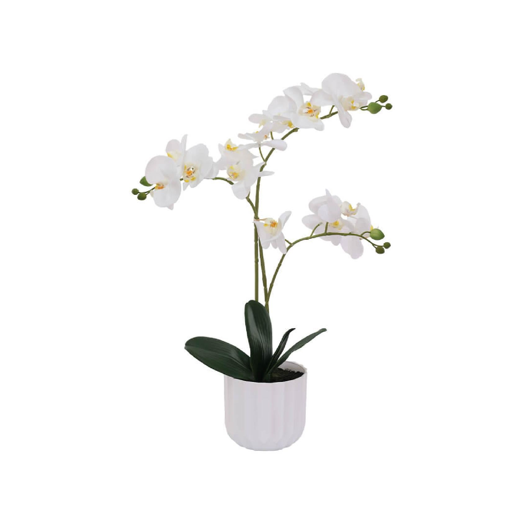 Artificial white orchid in a white faceted PVC pot