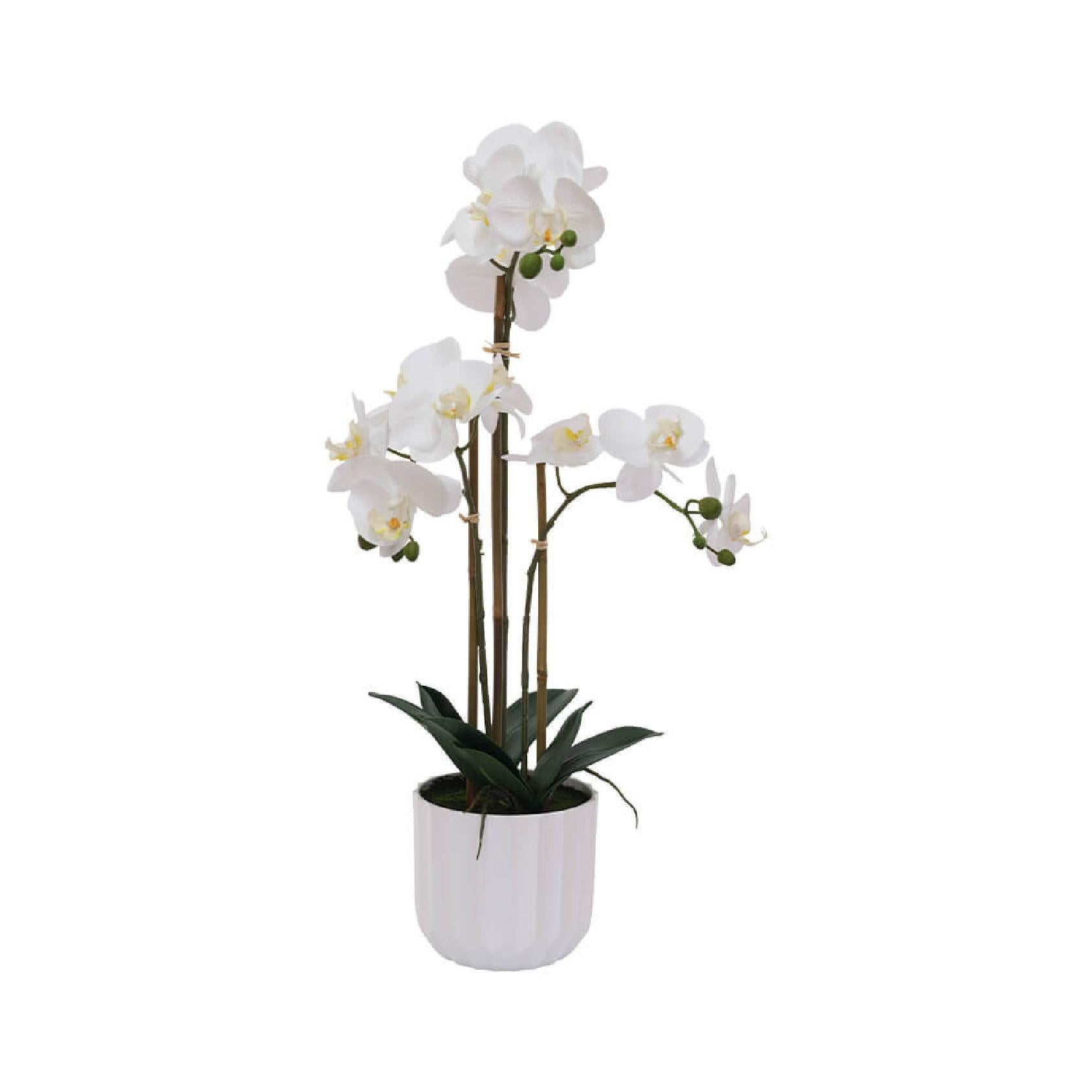 Artificial white orchid in a white faceted PVC pot