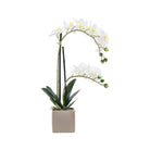 Artificial white potted orchid in taupe pot