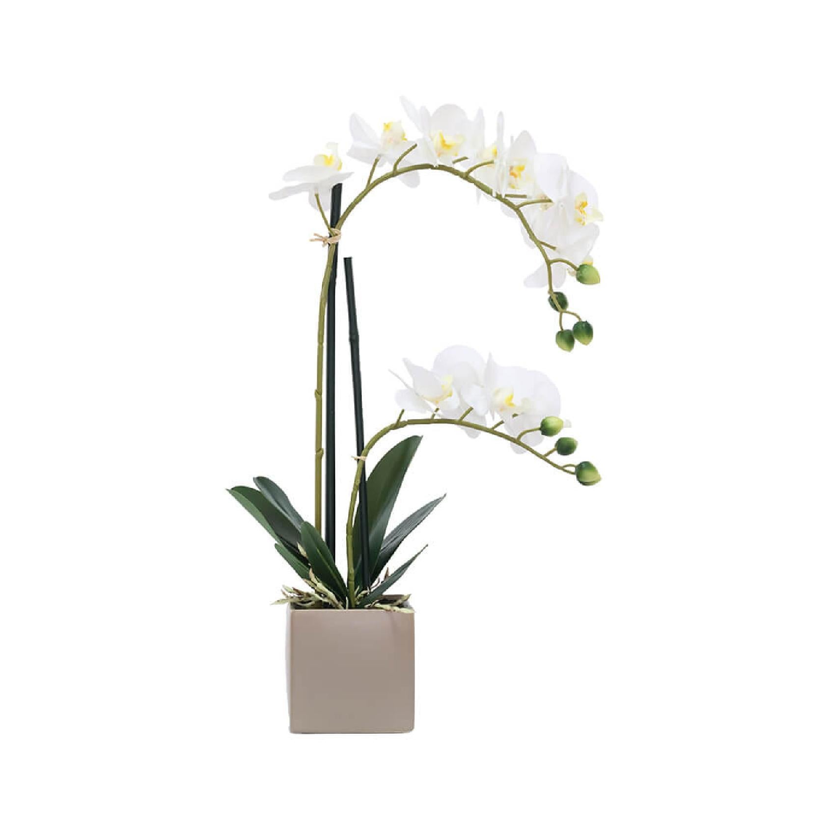Artificial white potted orchid in taupe pot