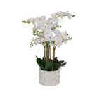 Artificial white potted real touch orchid