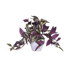 Artificial hanging plant with purple and green leaves in a white ceramic pot