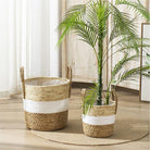 Two woven seagrass baskets with white stripes, with a palm plant on a wooden floor