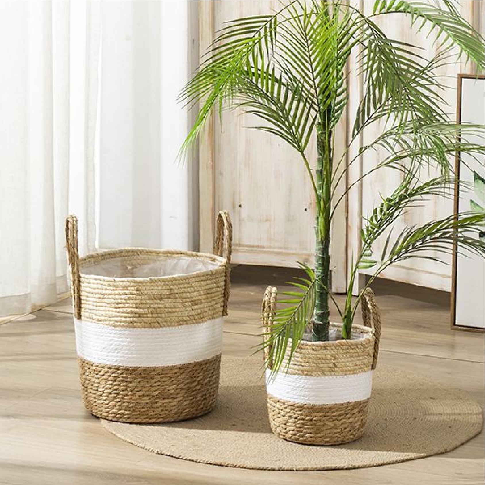 Two woven seagrass baskets with white stripes, with a palm plant on a wooden floor