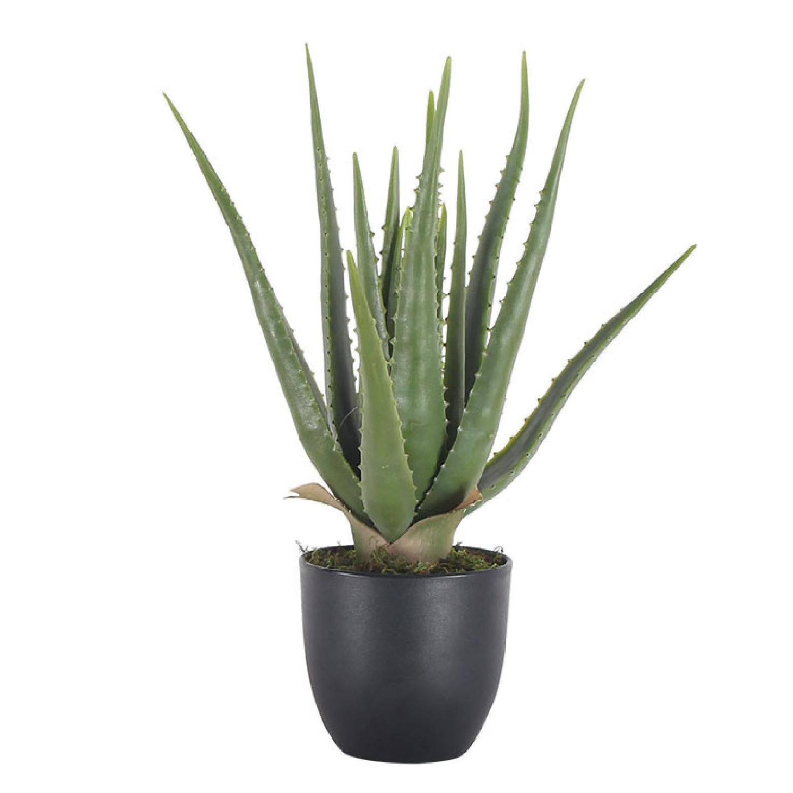 Artificial aloe vera plant