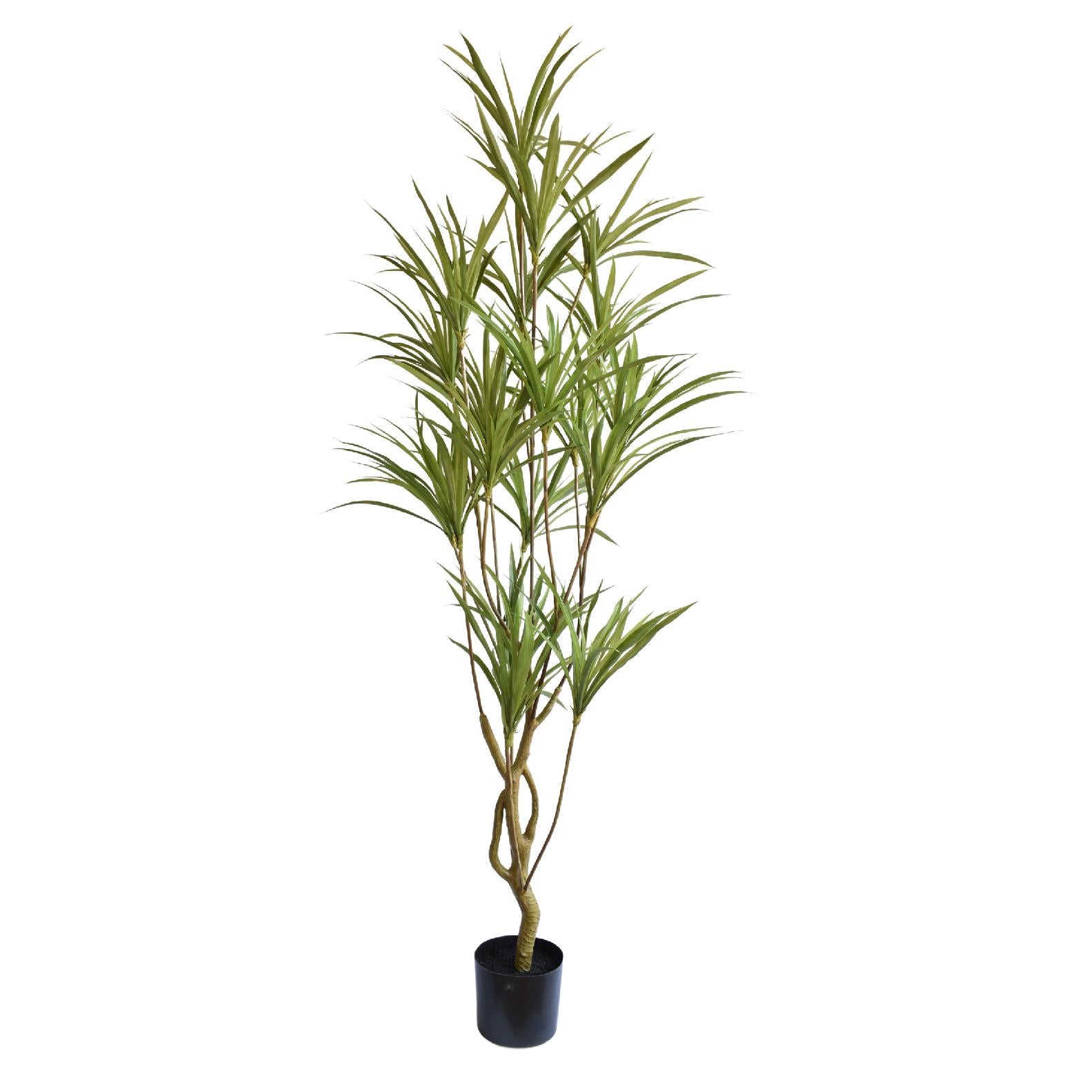 Artificial dracaena plant