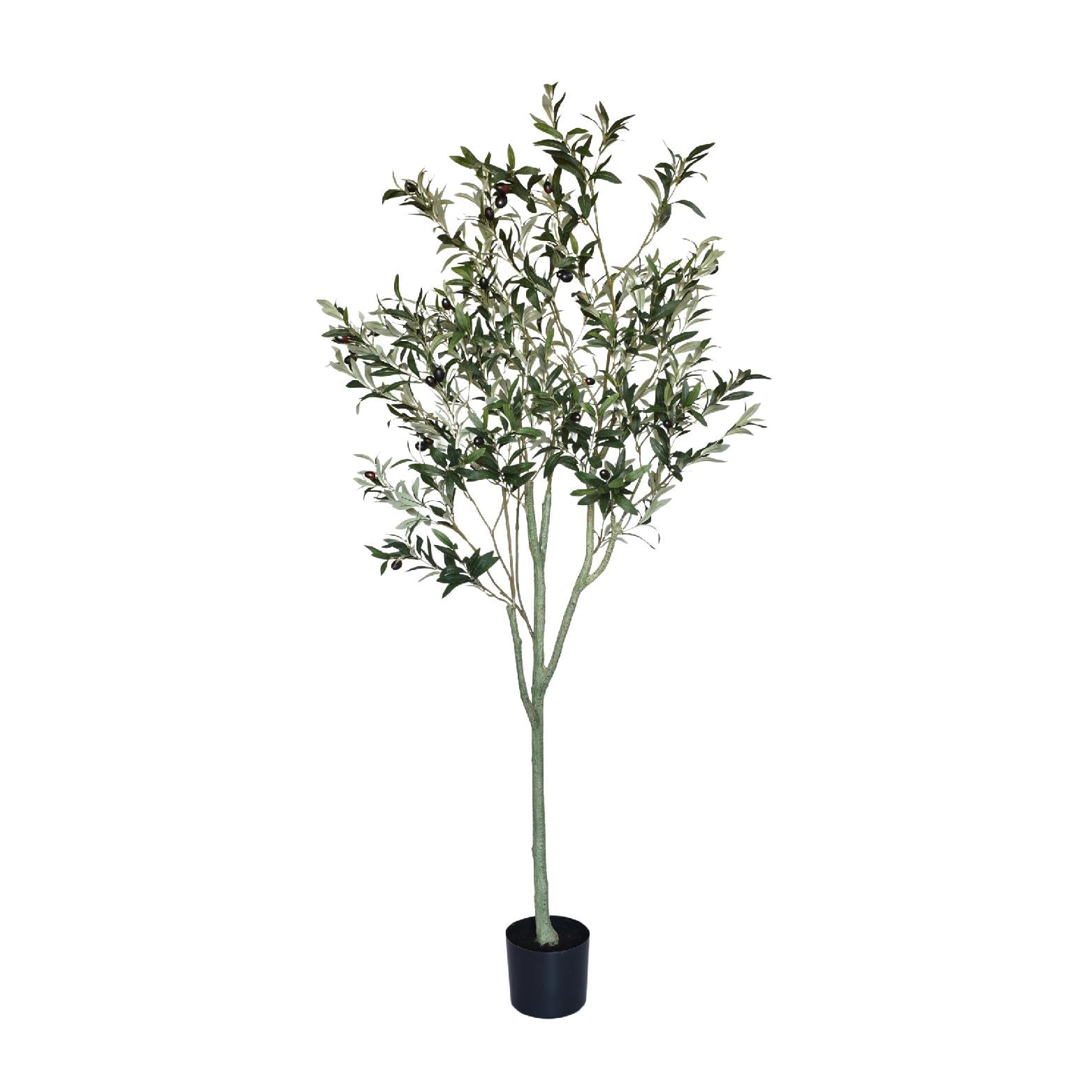 180cm tall artificial olive tree with faux olives & realistic green leaves