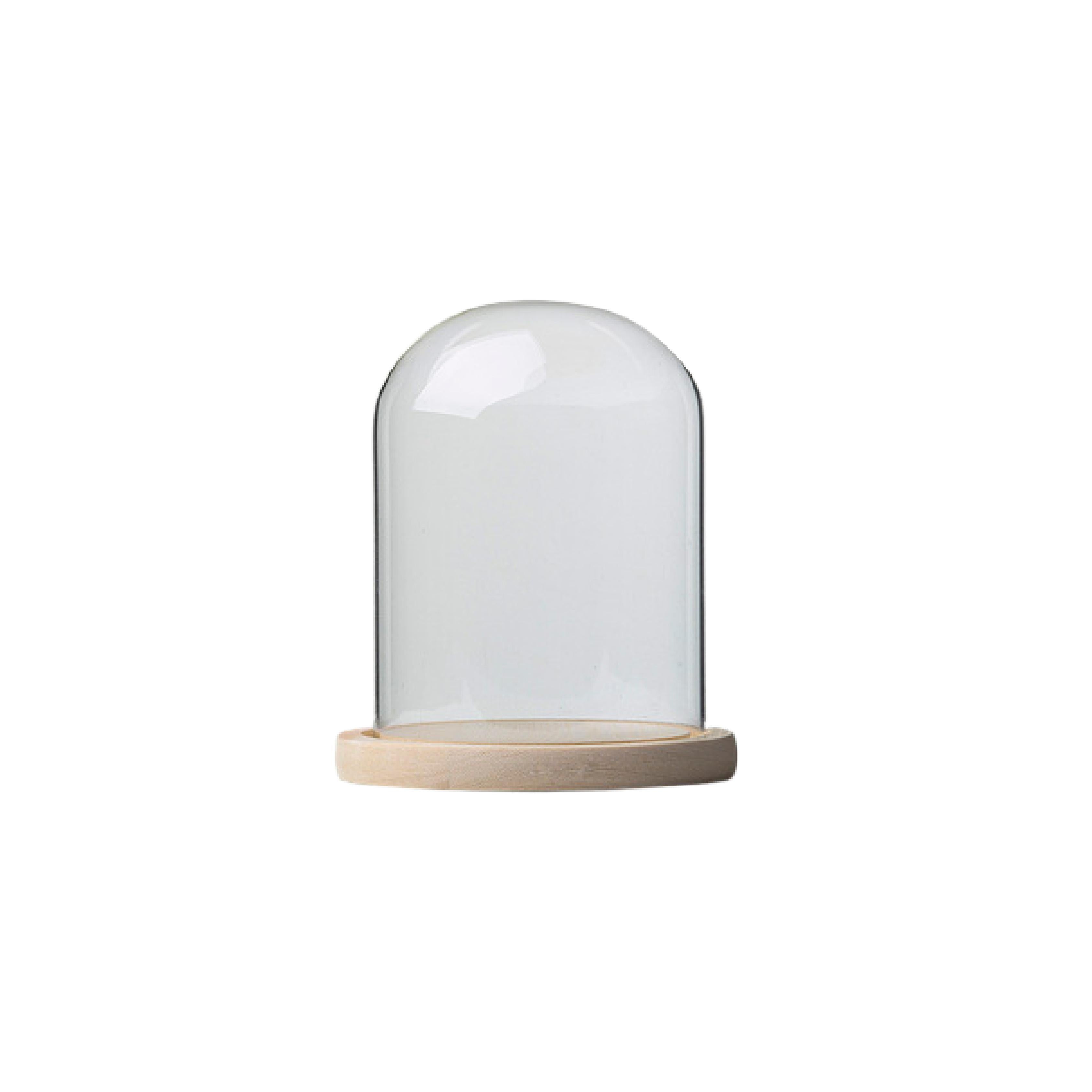 Round glass display dome with natural pine wood base