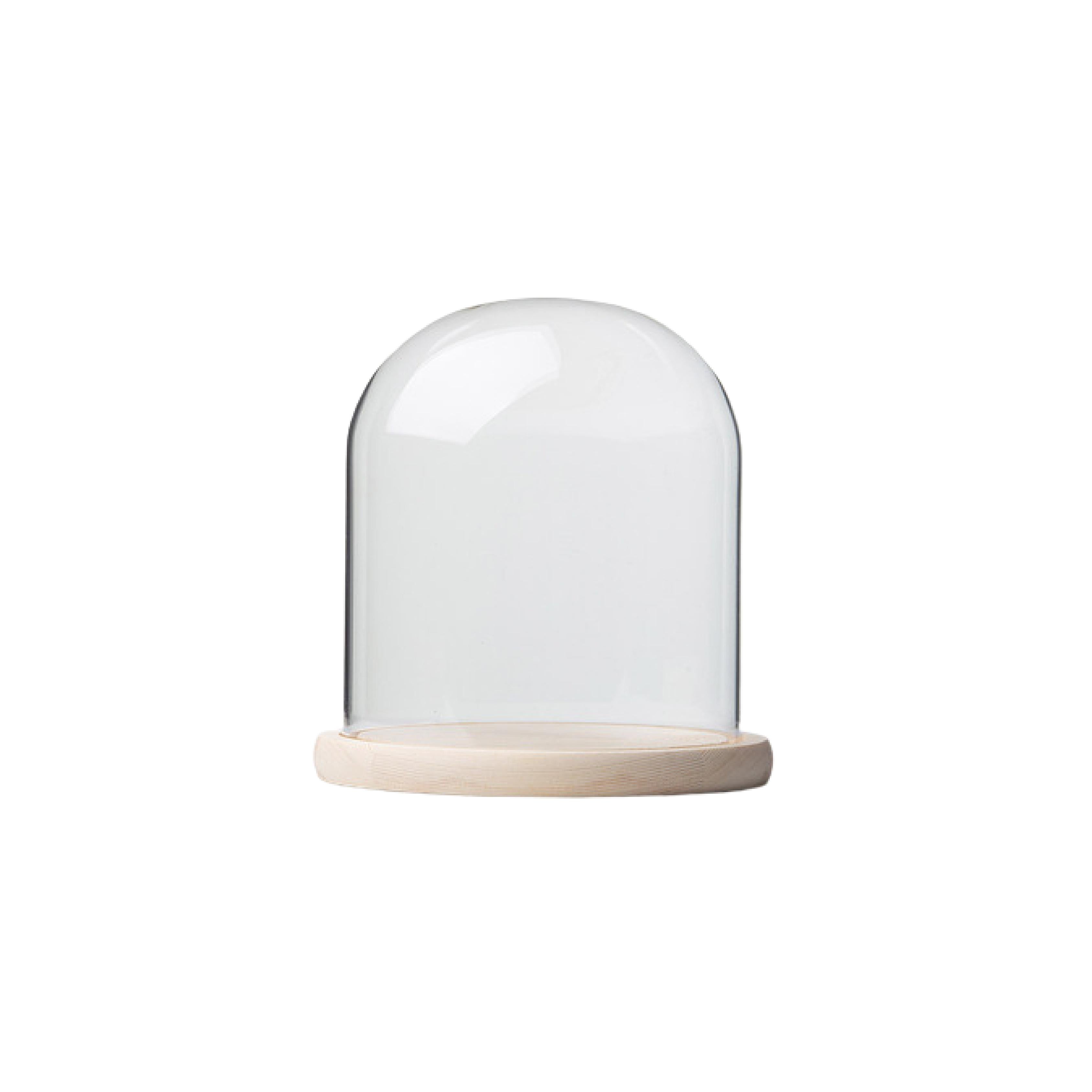 Round glass display dome with natural pine wood base
