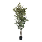 Artificial banyan tree in a black plastic pot