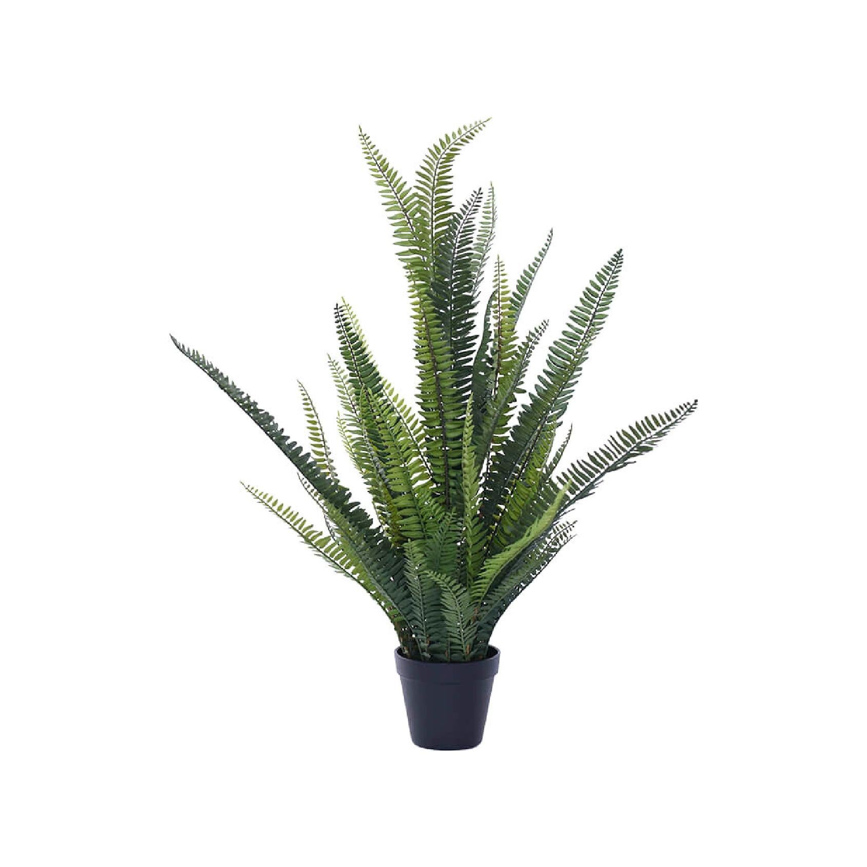 Artificial fern plant in black pot