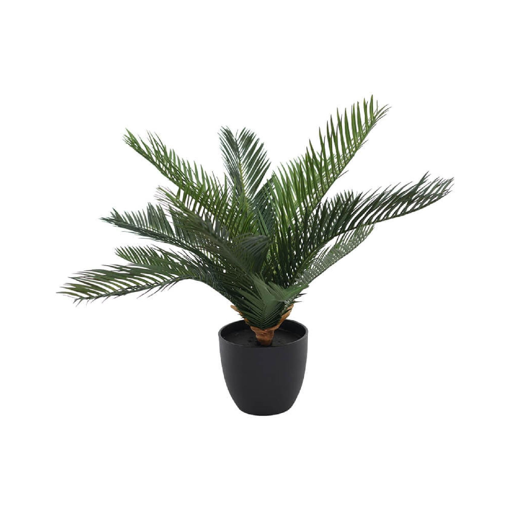 Potted artificial cycad plant in black pot