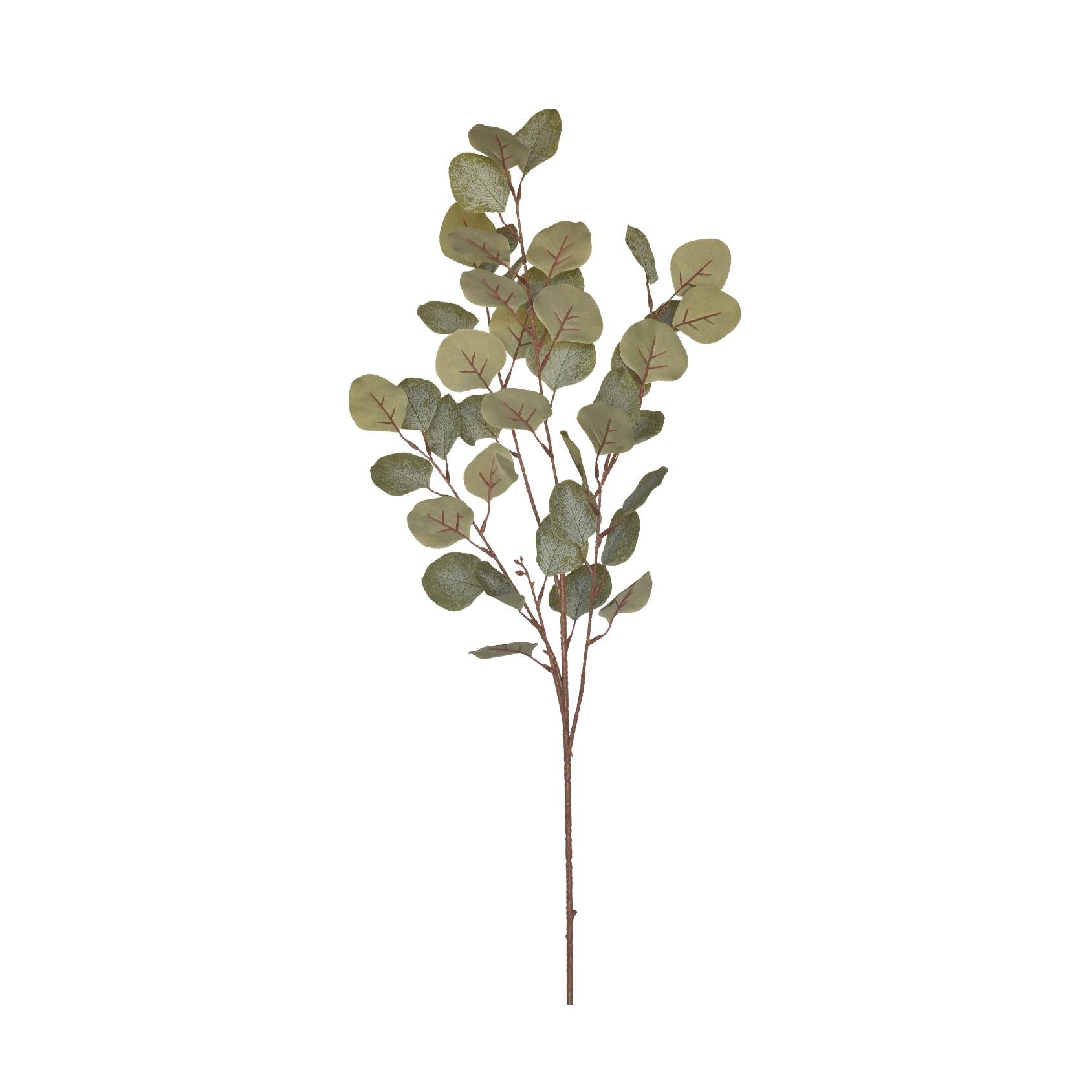 Artificial eucalyptus branch