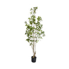 Artificial evergreen leaf tree with a black base
