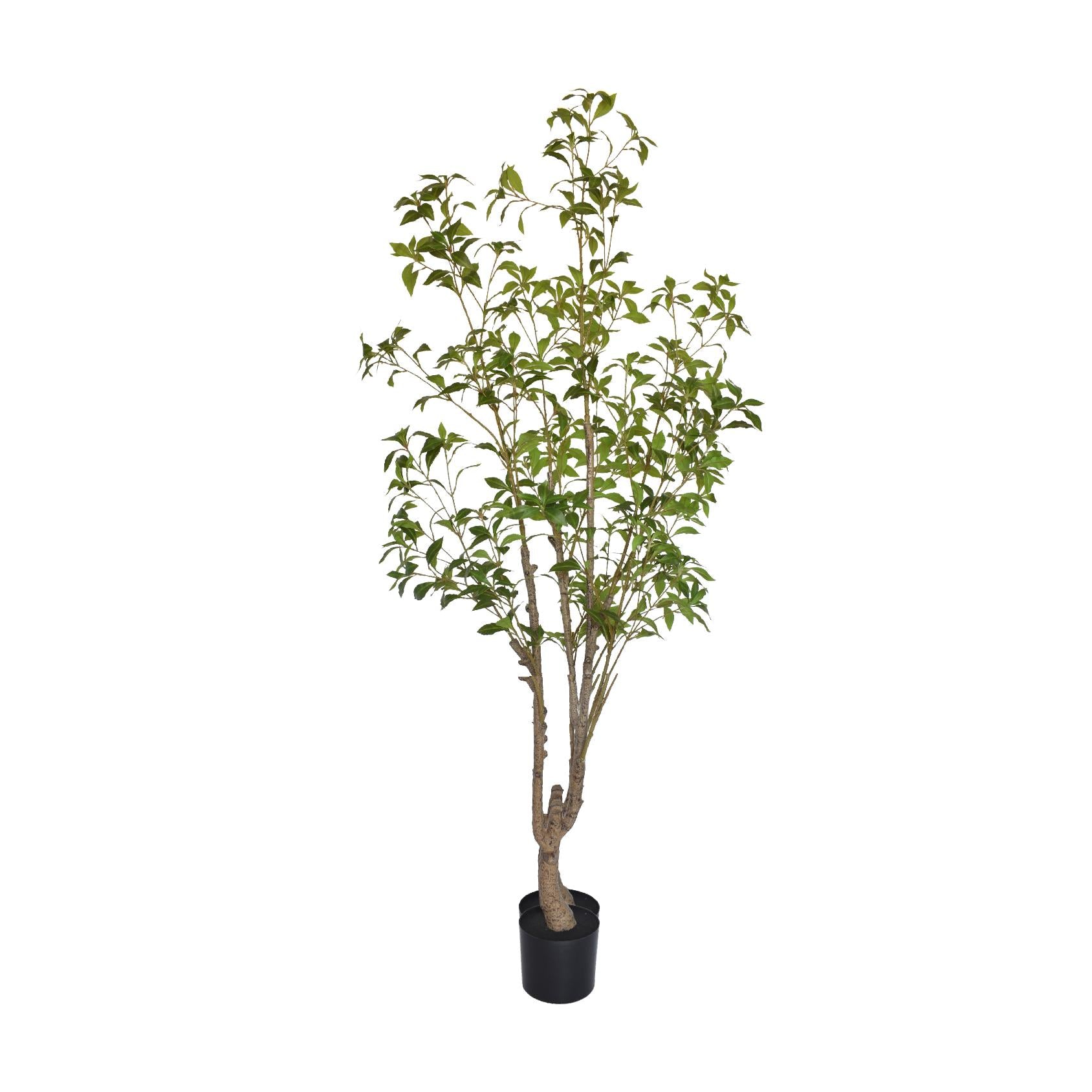 Artificial evergreen leaf tree with a black base