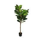 Artficial fiddle leag fig tree