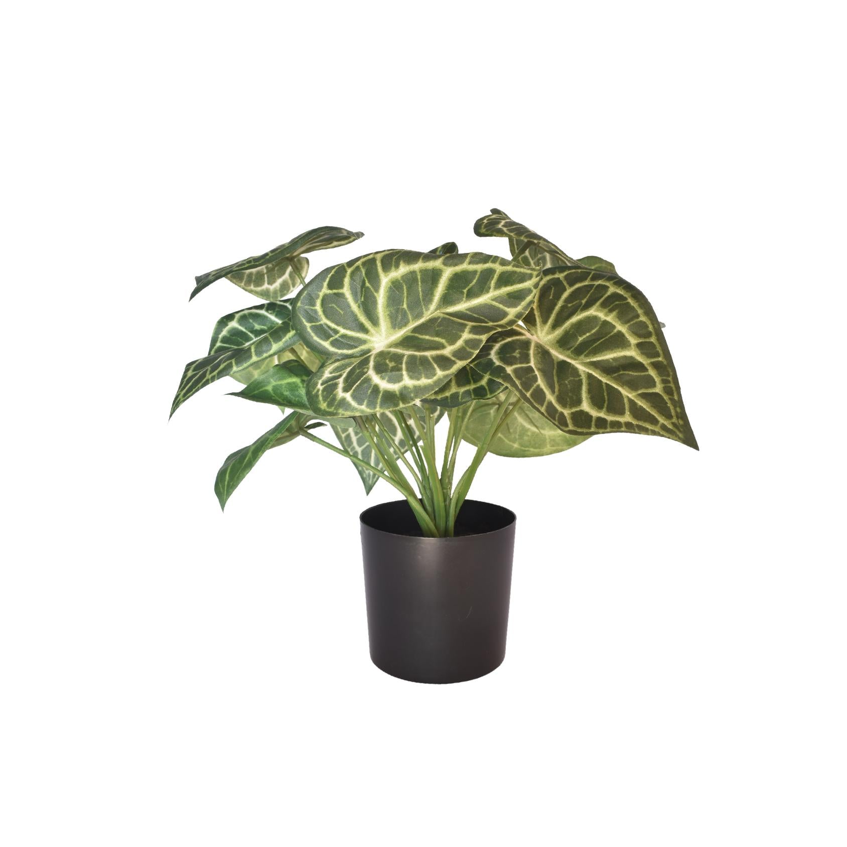 Artificial anthurium with green leaves and veining in a black plastic pot
