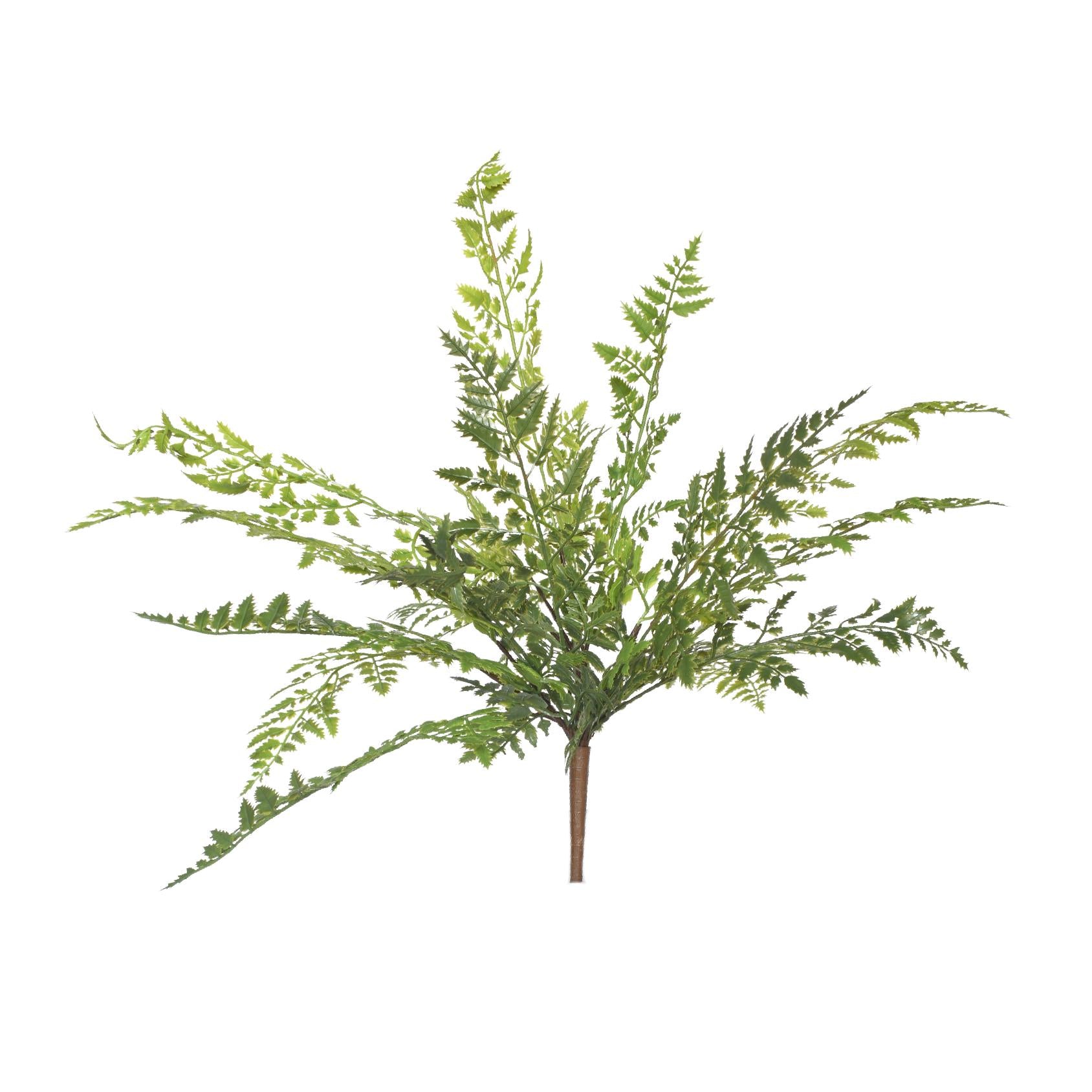 Faux laced fern bush with lace-like fronds in layered greens and a short stem
