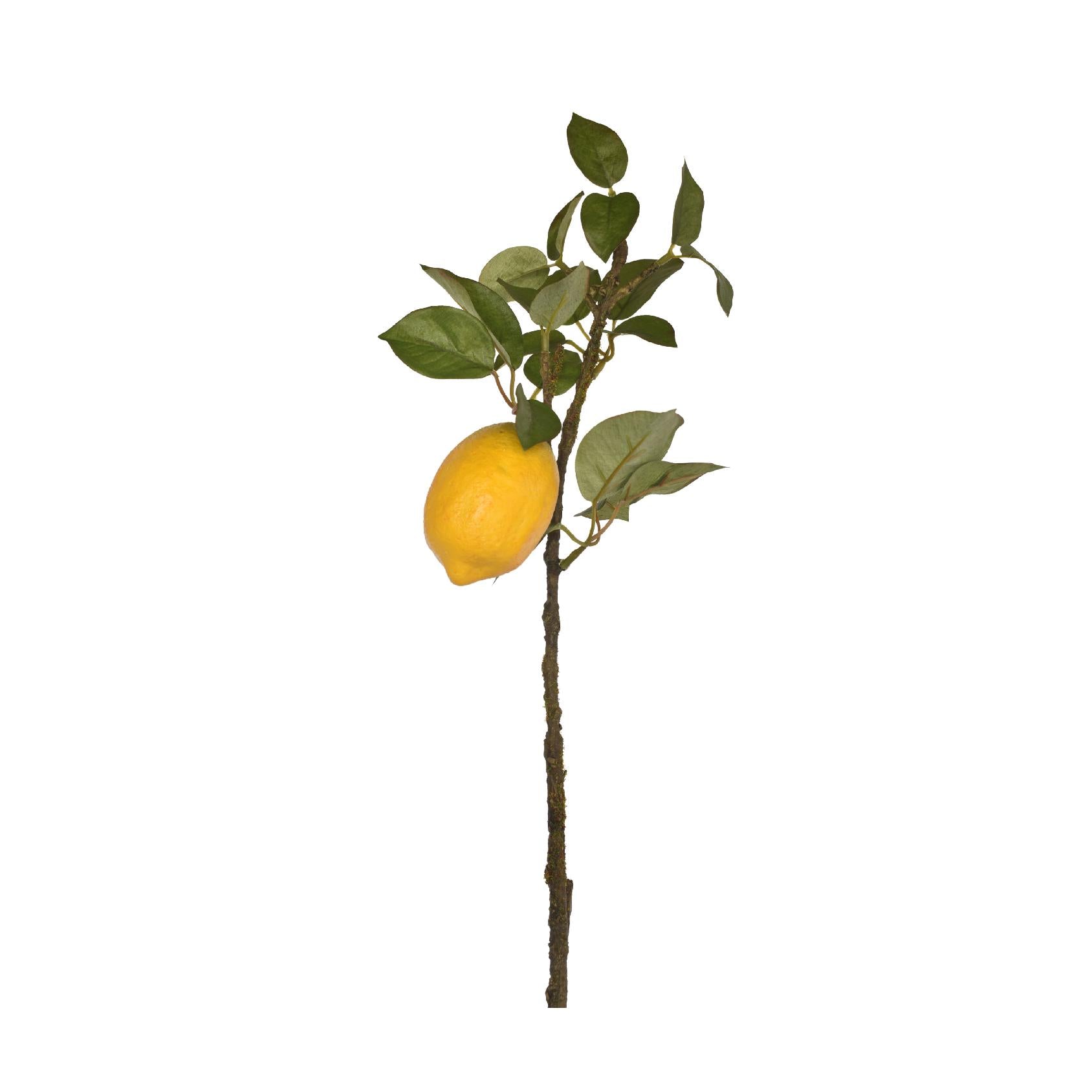 Artificial lemon stem with green leaves