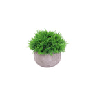Artificial cyprus plant with a textured grey pvc pot 
