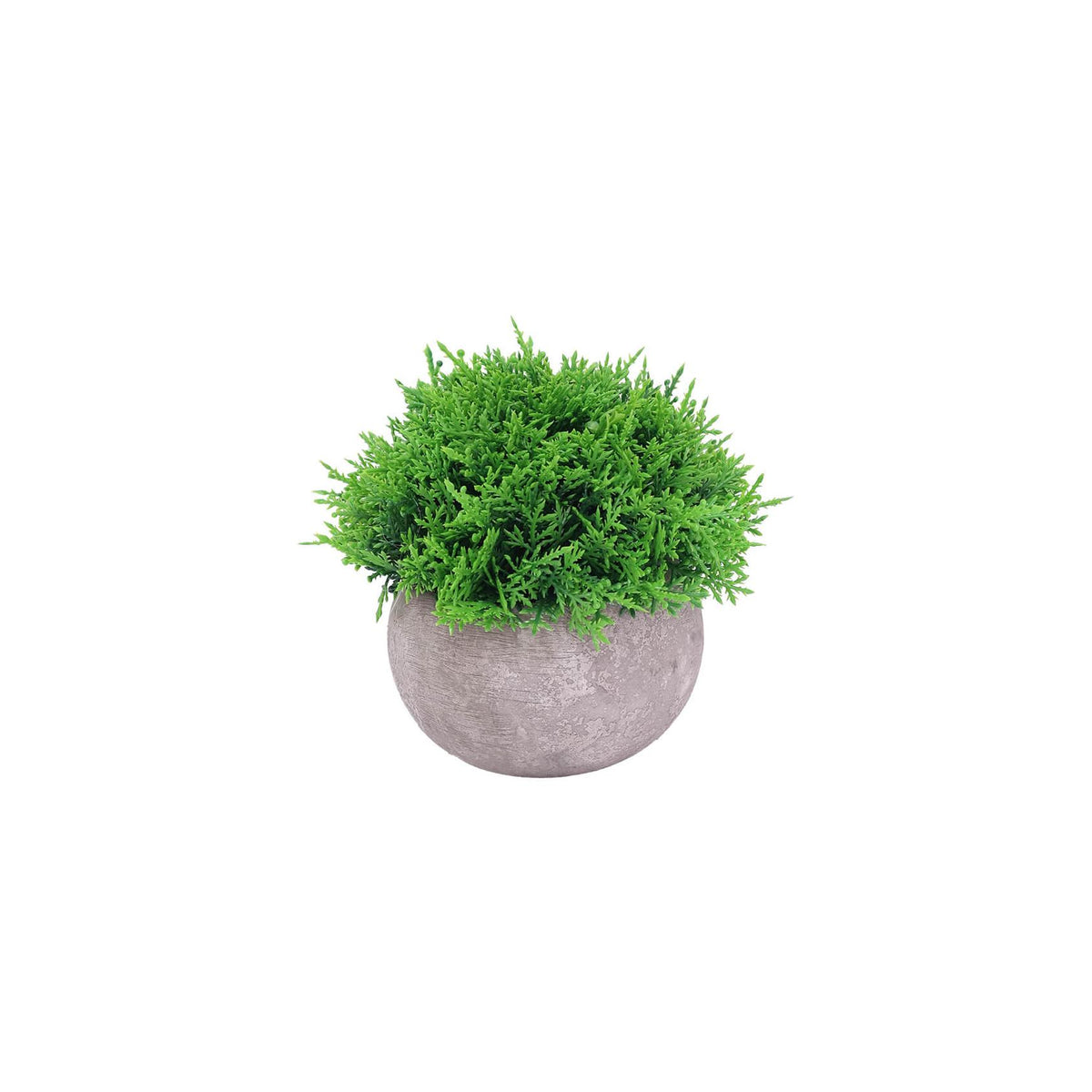 Artificial cyprus plant with a textured grey pvc pot 