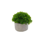Artificial pearl grass in cement pot