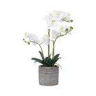Artificial real touch white orchid in pot