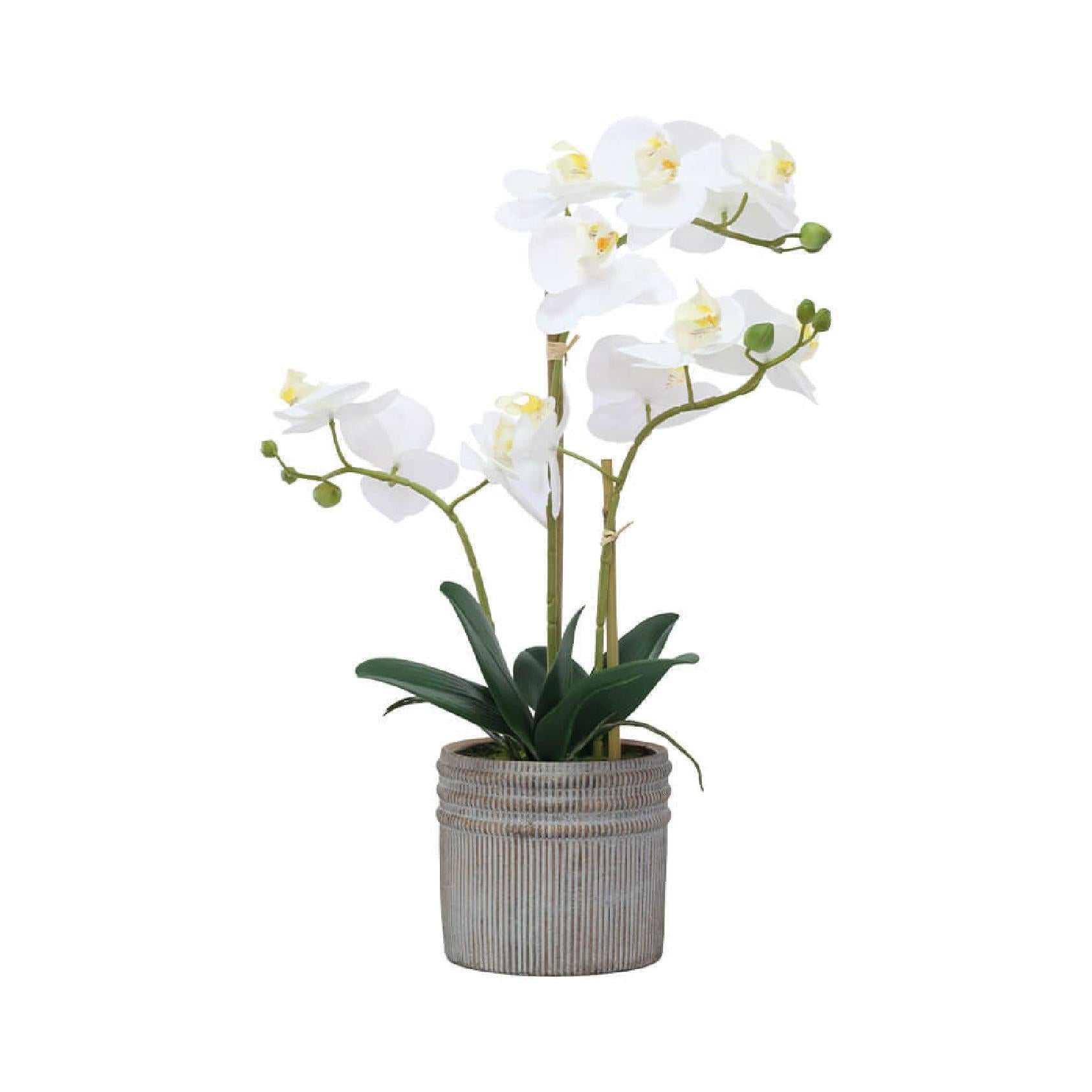 Artificial real touch white orchid in pot