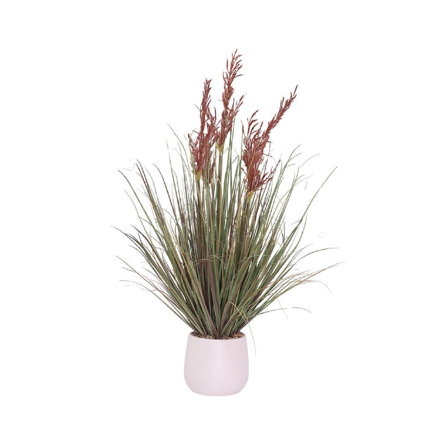 Potted artificial red miscanthus grass plant with long green leaves and red-brown spikes