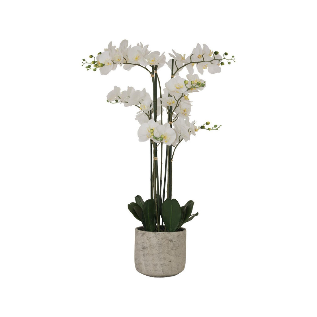 Artificial tall white real touch orchid