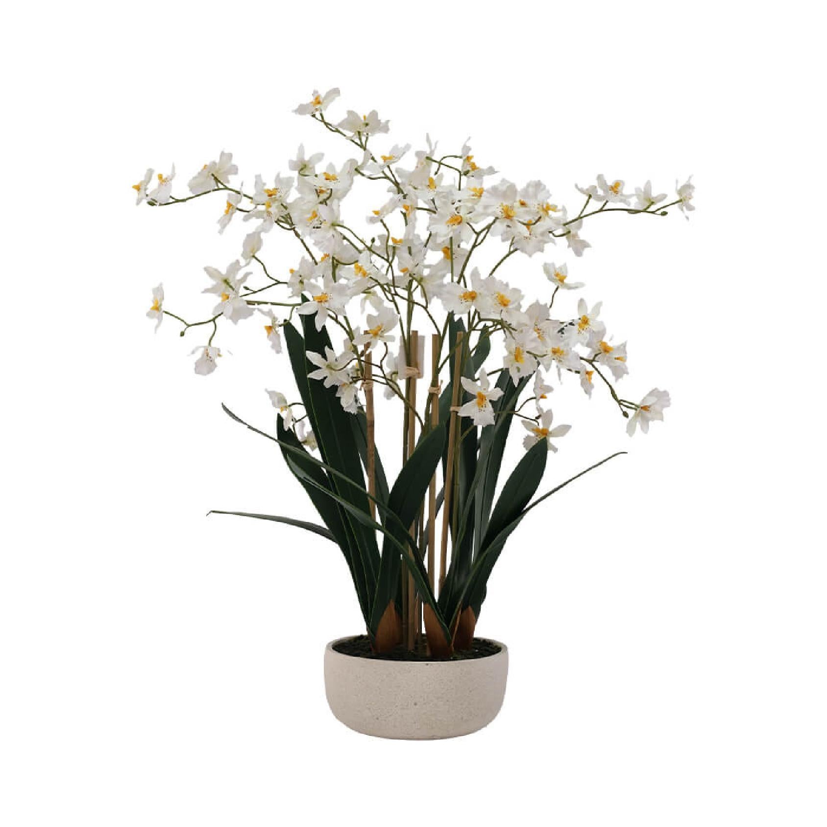 Artificial oncidium plant with white flowers in a ceramic pot