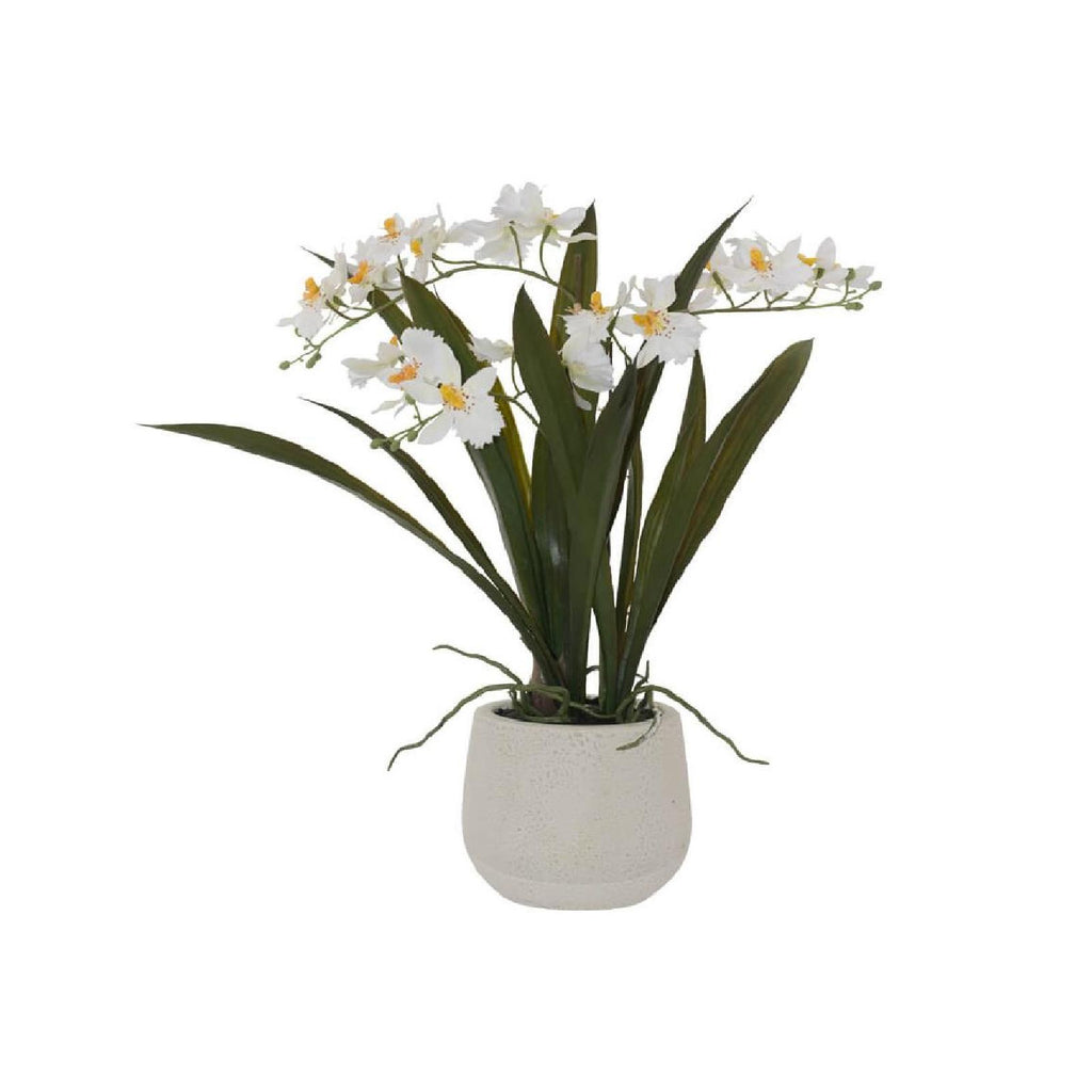 Artificial white oncidium plant in a neutral ceramic pot
