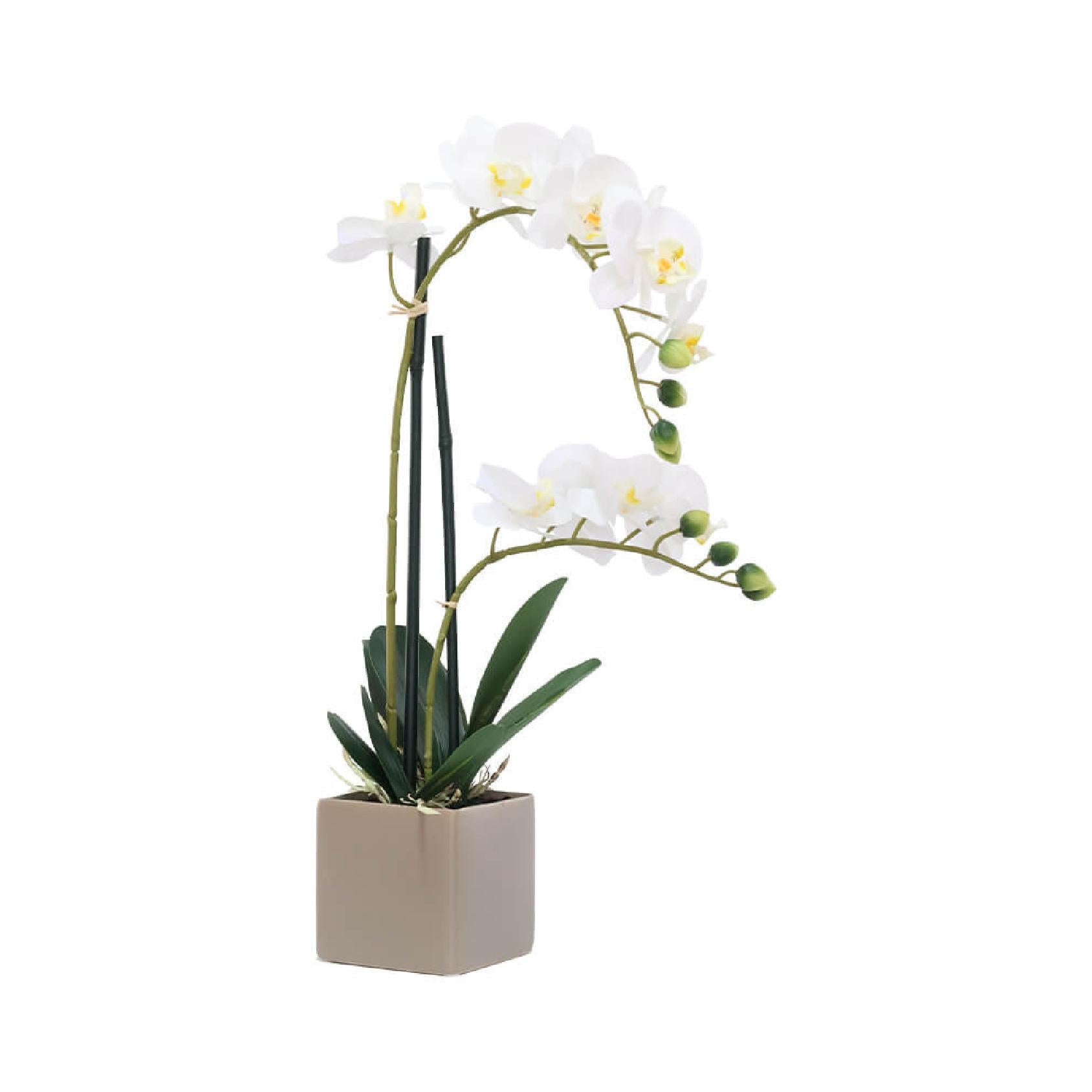 Artificial white potted orchid in taupe pot